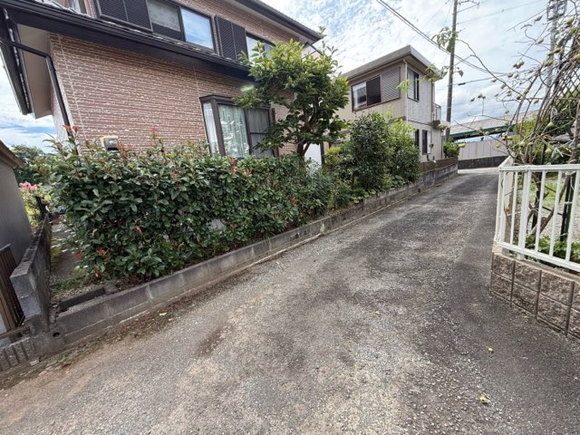 Before image