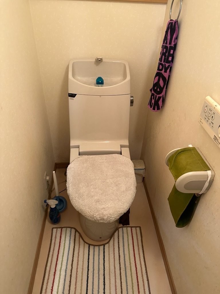 Before image
