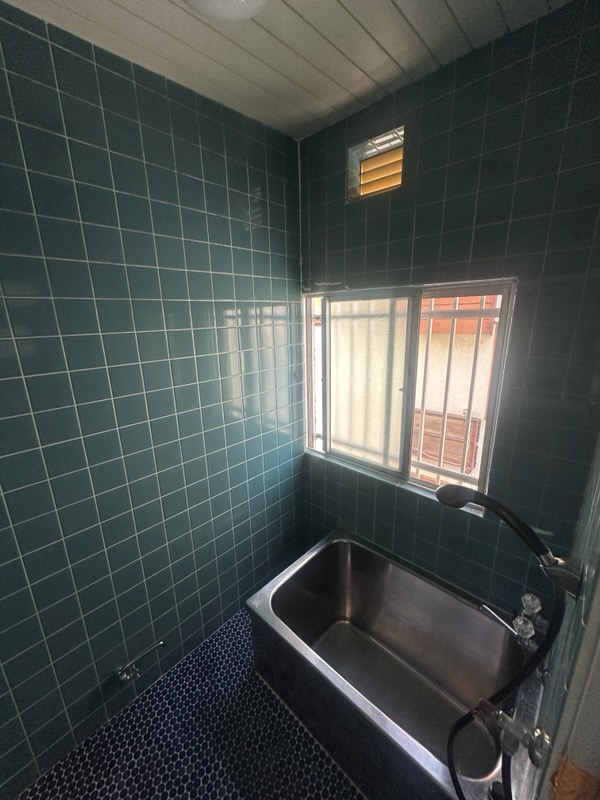 Before image